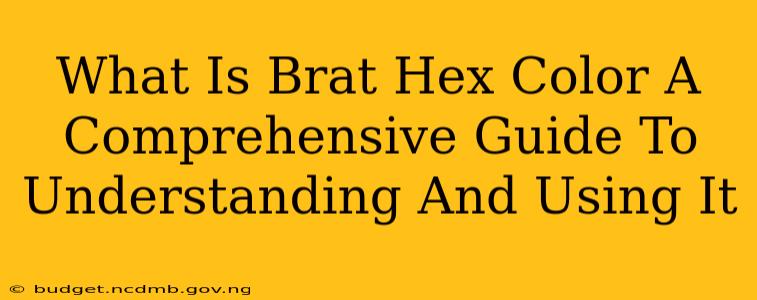 What Is Brat Hex Color A Comprehensive Guide To Understanding And Using It