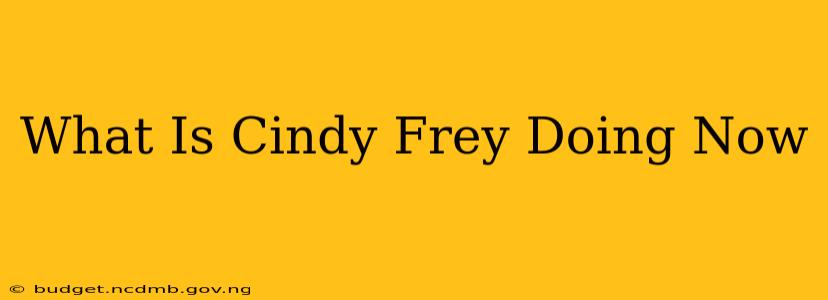 What Is Cindy Frey Doing Now