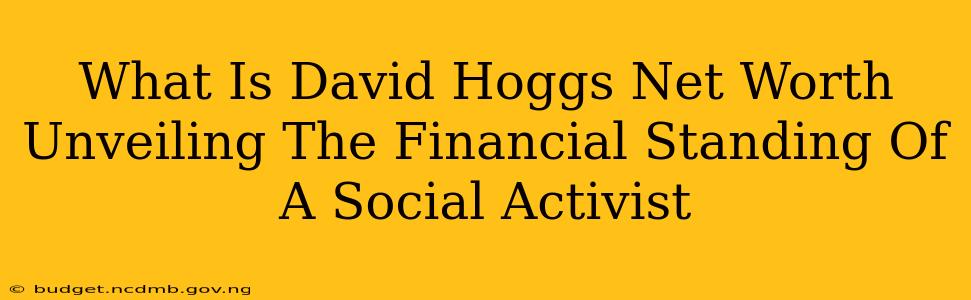 What Is David Hoggs Net Worth Unveiling The Financial Standing Of A Social Activist