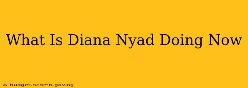 What Is Diana Nyad Doing Now