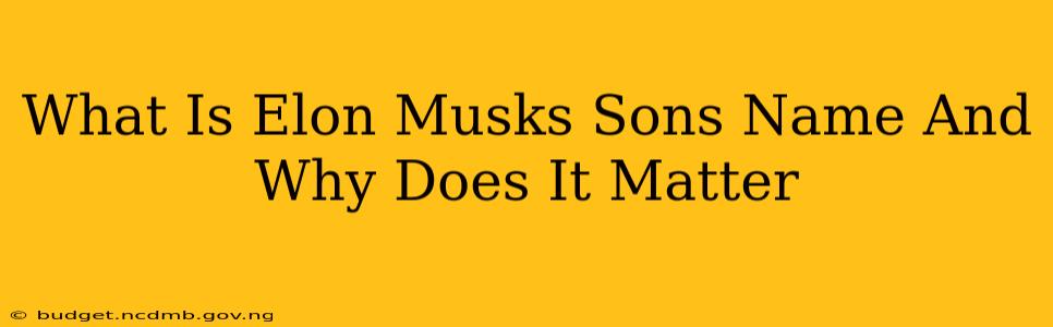 What Is Elon Musks Sons Name And Why Does It Matter