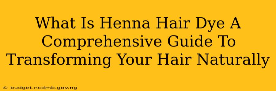 What Is Henna Hair Dye A Comprehensive Guide To Transforming Your Hair Naturally