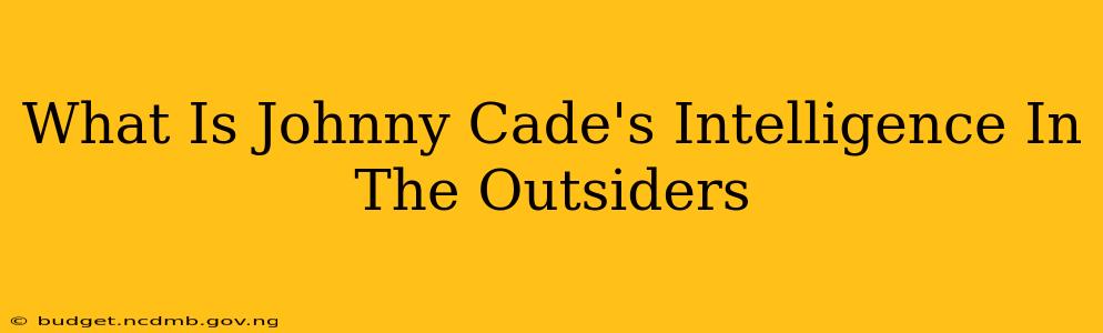 What Is Johnny Cade's Intelligence In The Outsiders