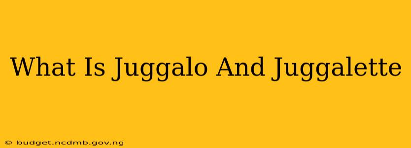 What Is Juggalo And Juggalette