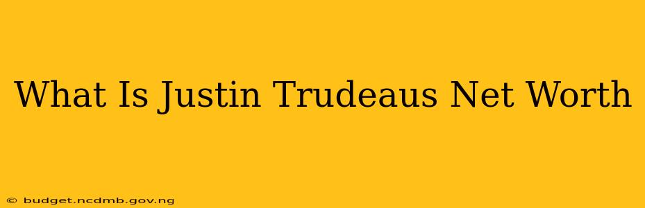 What Is Justin Trudeaus Net Worth