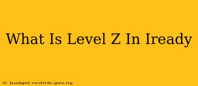 What Is Level Z In Iready