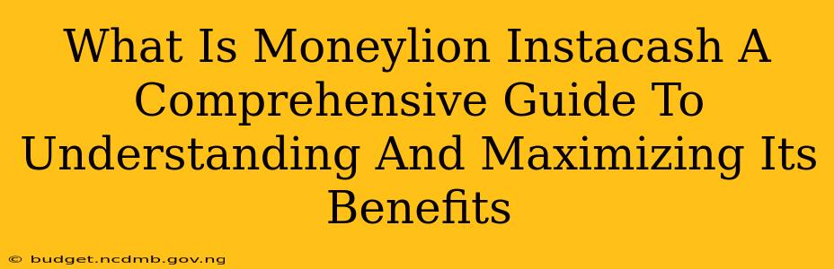 What Is Moneylion Instacash A Comprehensive Guide To Understanding And Maximizing Its Benefits