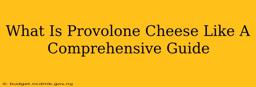 What Is Provolone Cheese Like A Comprehensive Guide