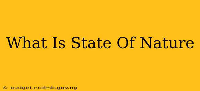 What Is State Of Nature