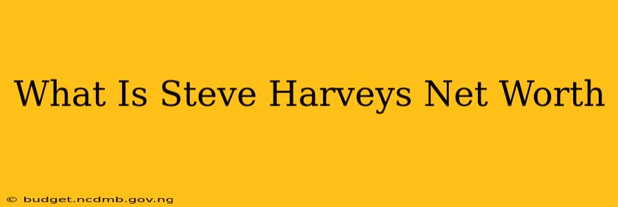 What Is Steve Harveys Net Worth