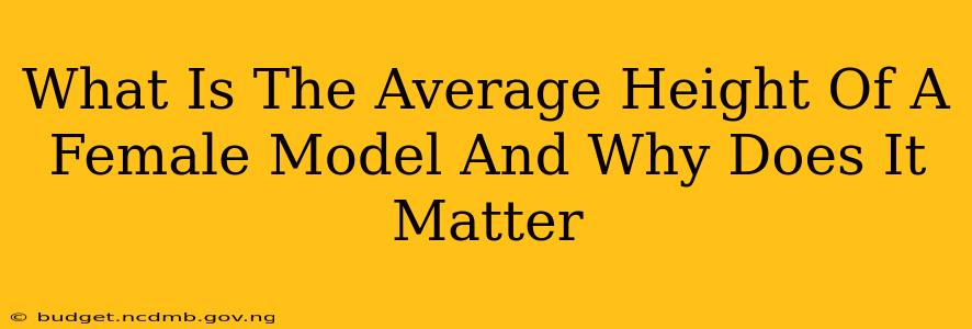 What Is The Average Height Of A Female Model And Why Does It Matter