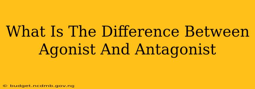 What Is The Difference Between Agonist And Antagonist
