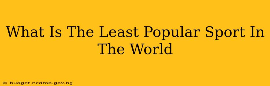 What Is The Least Popular Sport In The World