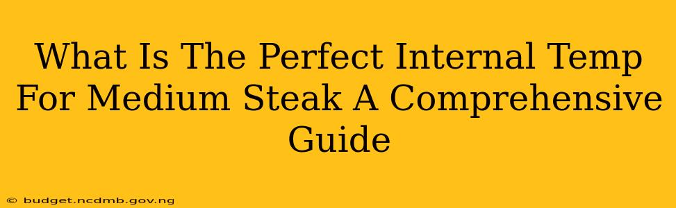 What Is The Perfect Internal Temp For Medium Steak A Comprehensive Guide