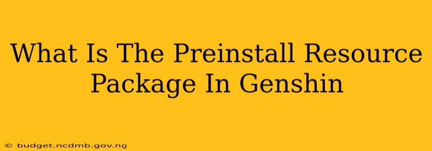 What Is The Preinstall Resource Package In Genshin