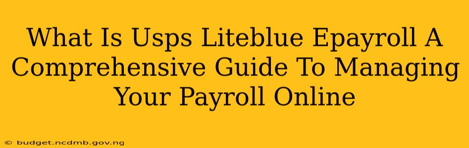 What Is Usps Liteblue Epayroll A Comprehensive Guide To Managing Your Payroll Online
