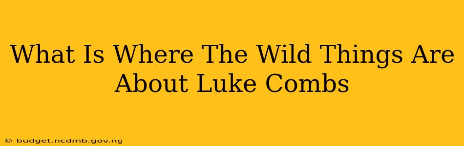 What Is Where The Wild Things Are About Luke Combs