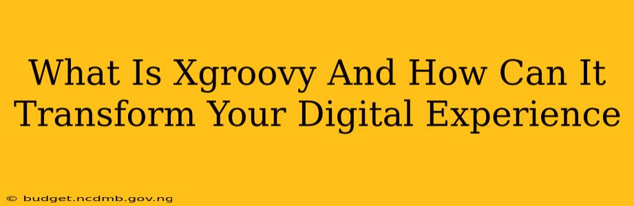 What Is Xgroovy And How Can It Transform Your Digital Experience