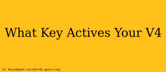 What Key Actives Your V4