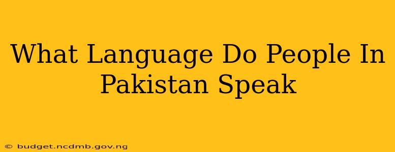 What Language Do People In Pakistan Speak