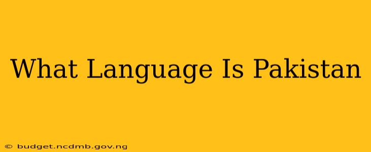 What Language Is Pakistan