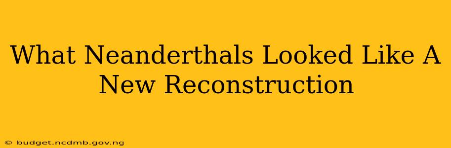 What Neanderthals Looked Like A New Reconstruction