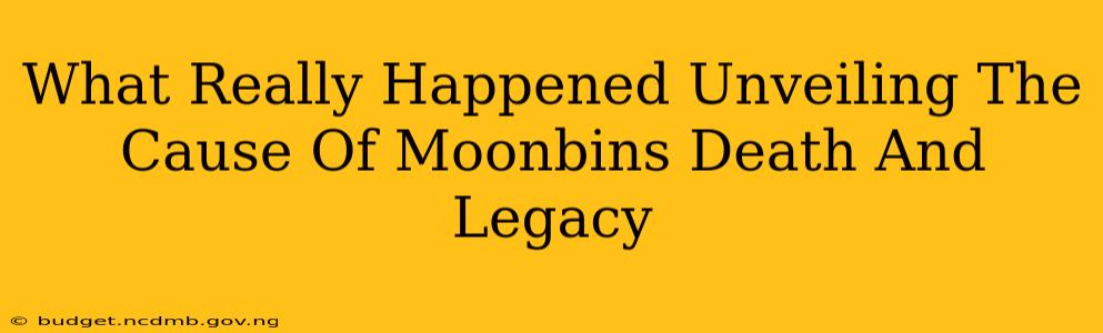 What Really Happened Unveiling The Cause Of Moonbins Death And Legacy