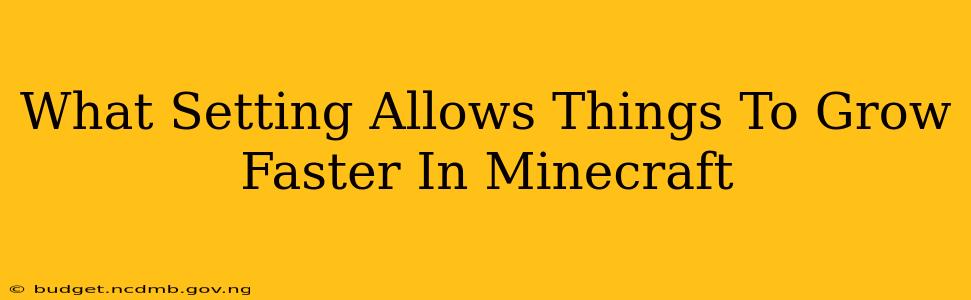 What Setting Allows Things To Grow Faster In Minecraft