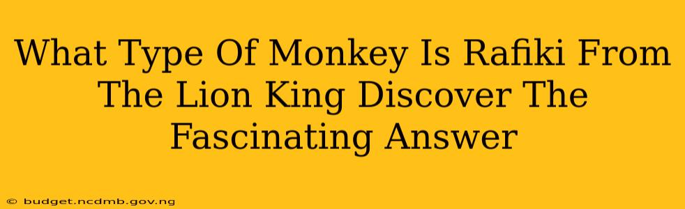 What Type Of Monkey Is Rafiki From The Lion King Discover The Fascinating Answer