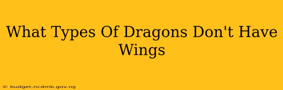 What Types Of Dragons Don't Have Wings