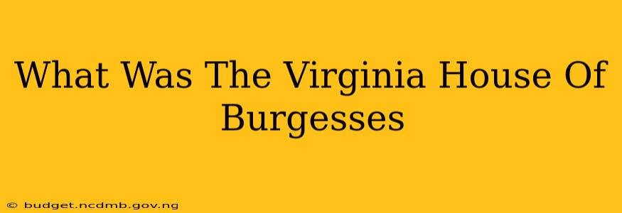 What Was The Virginia House Of Burgesses