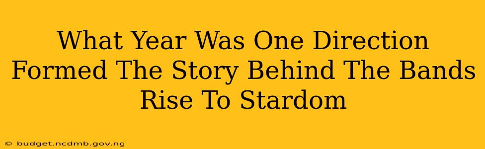 What Year Was One Direction Formed The Story Behind The Bands Rise To Stardom