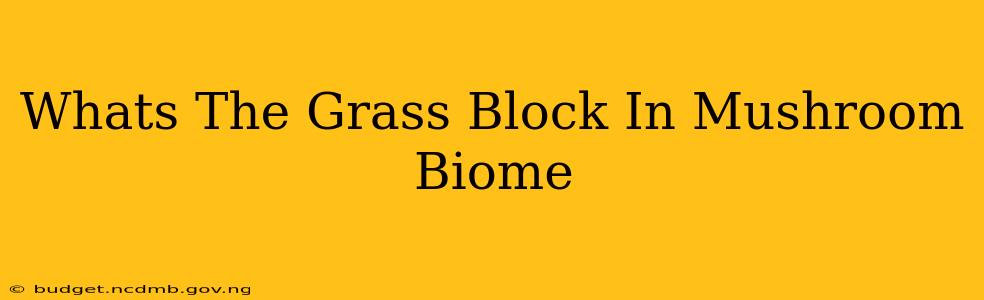 Whats The Grass Block In Mushroom Biome