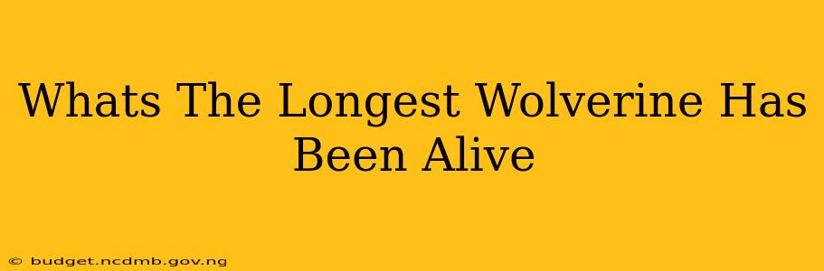 Whats The Longest Wolverine Has Been Alive