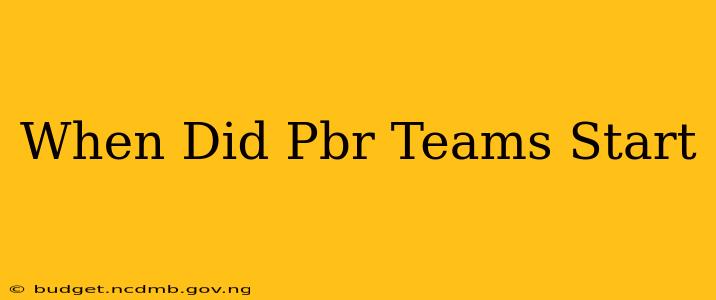 When Did Pbr Teams Start