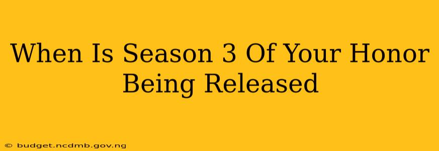 When Is Season 3 Of Your Honor Being Released