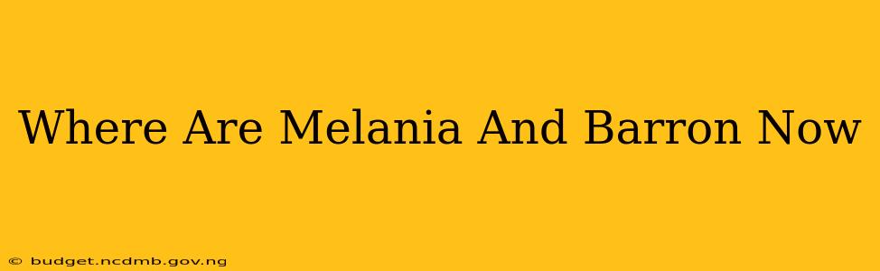 Where Are Melania And Barron Now