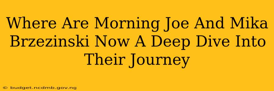 Where Are Morning Joe And Mika Brzezinski Now A Deep Dive Into Their Journey