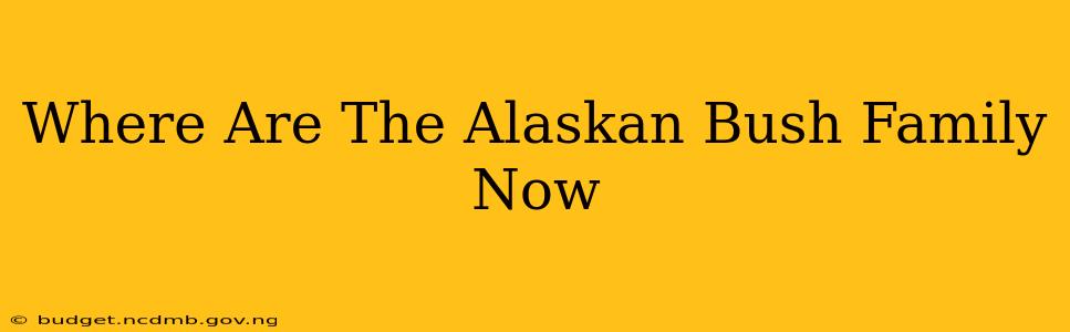 Where Are The Alaskan Bush Family Now