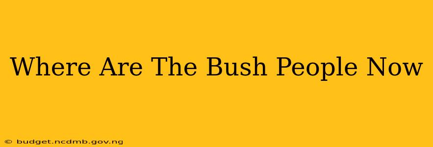 Where Are The Bush People Now