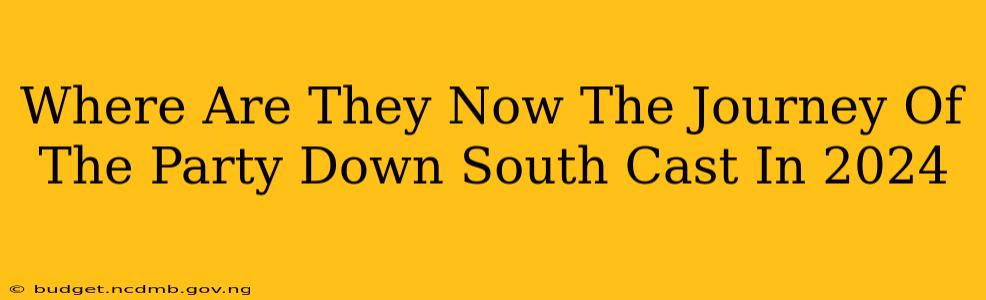 Where Are They Now The Journey Of The Party Down South Cast In 2024