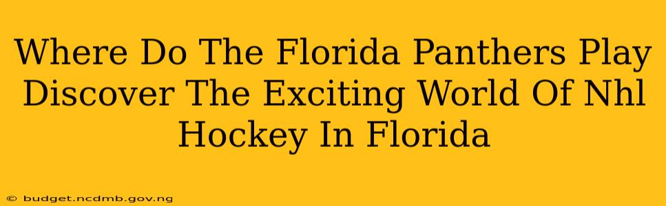 Where Do The Florida Panthers Play Discover The Exciting World Of Nhl Hockey In Florida