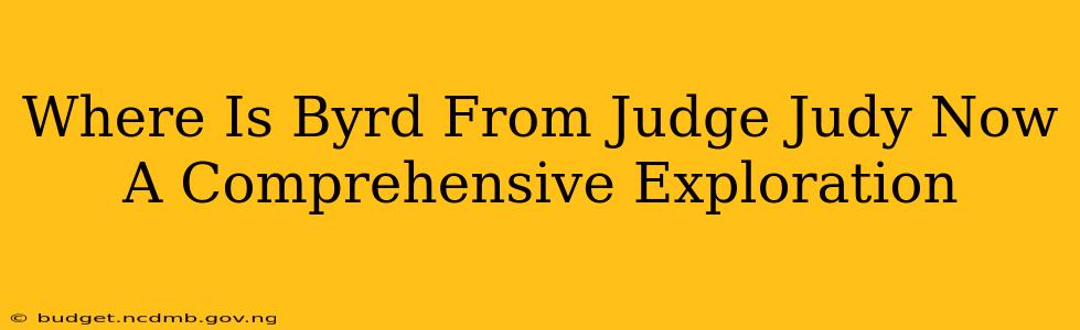 Where Is Byrd From Judge Judy Now A Comprehensive Exploration
