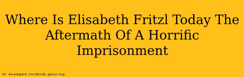 Where Is Elisabeth Fritzl Today The Aftermath Of A Horrific Imprisonment