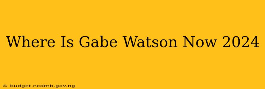 Where Is Gabe Watson Now 2024