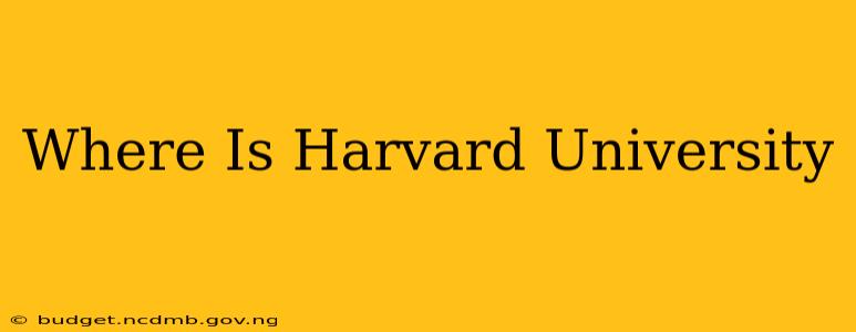 Where Is Harvard University