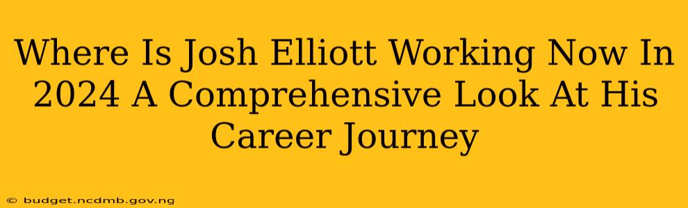 Where Is Josh Elliott Working Now In 2024 A Comprehensive Look At His Career Journey