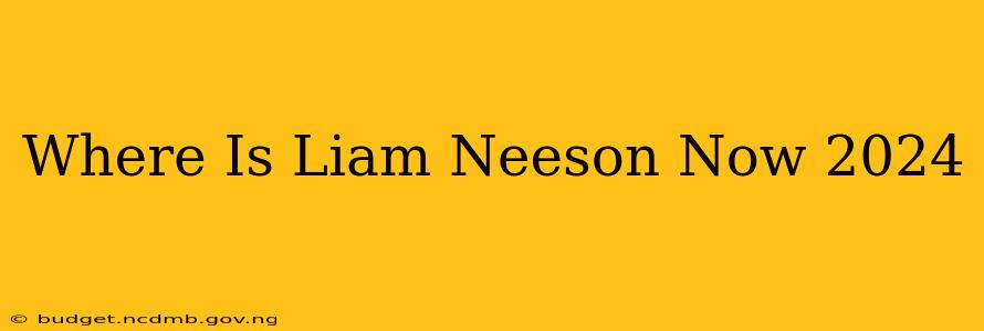 Where Is Liam Neeson Now 2024