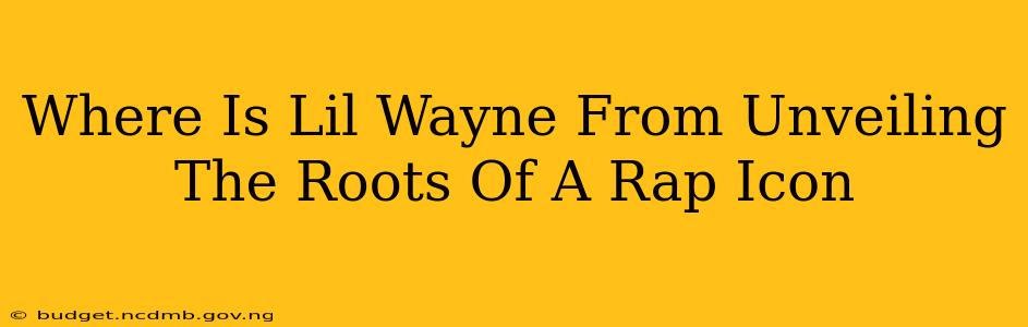 Where Is Lil Wayne From Unveiling The Roots Of A Rap Icon