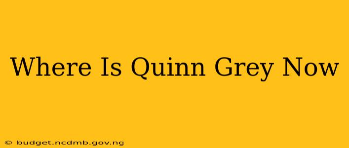 Where Is Quinn Grey Now